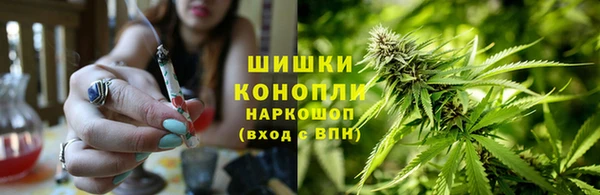 СК Верея