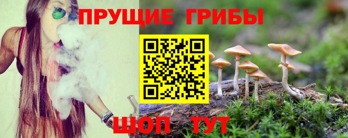 Екатеринбург  Галлюциногенные грибы Psilocybe  Вход с VPN 
