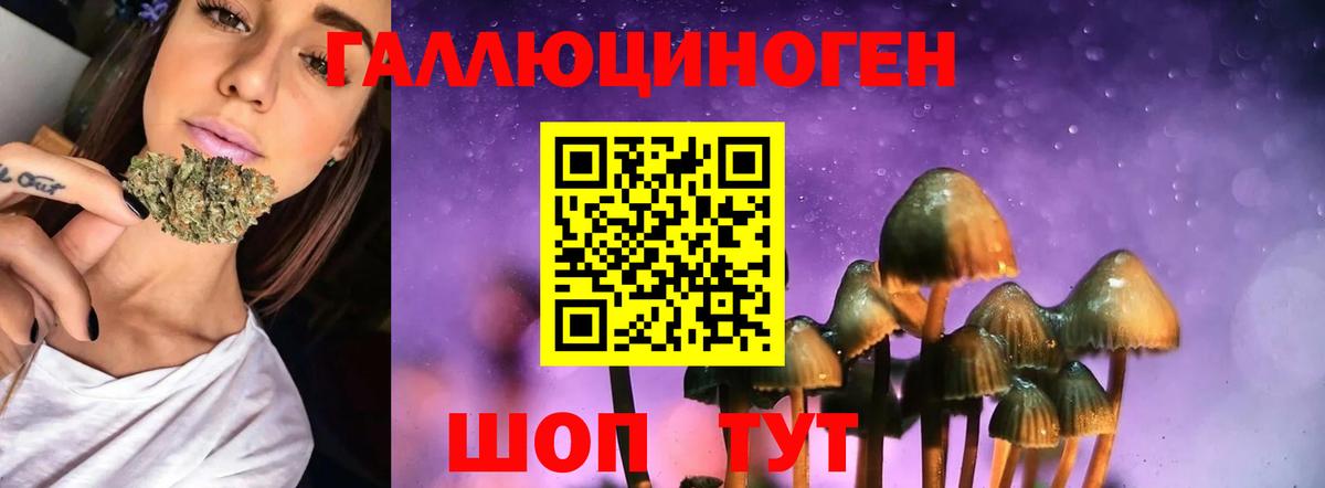 Псилоцибиновые грибы MAGIC MUSHROOMS Екатеринбург